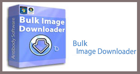 Bulk Image Downloader