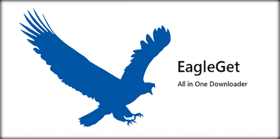 EagleGet windows