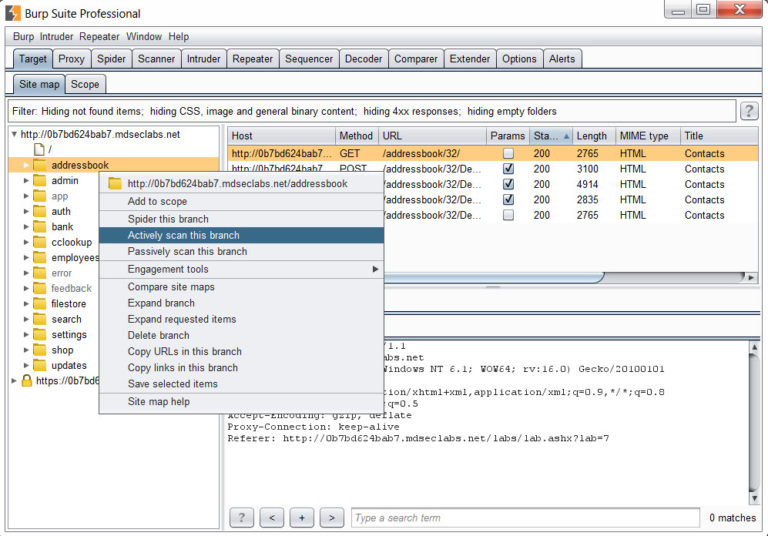 burp suite repeater burp suite repeater