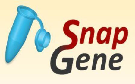 snapgene crack snapgene crack