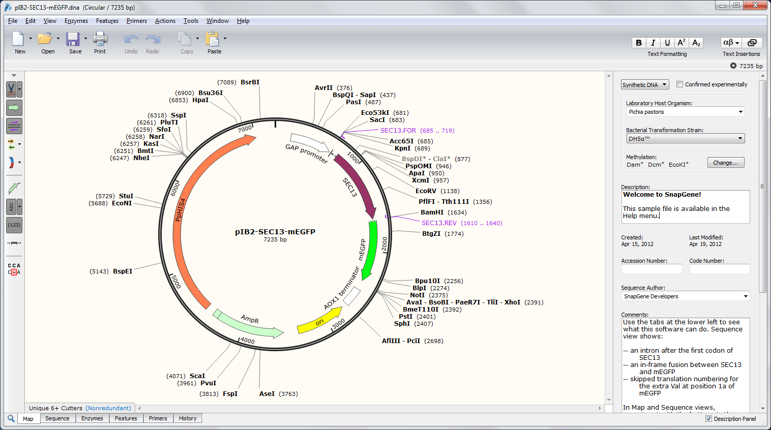 snapgene alternative snapgene alternative